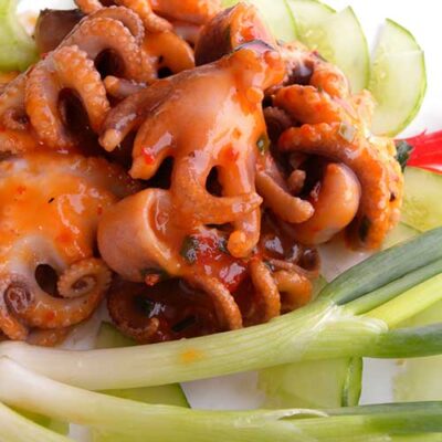 BOILED OCTOPUS