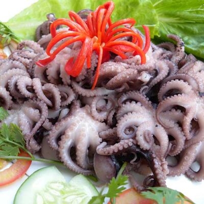 RAW OCTOPUS